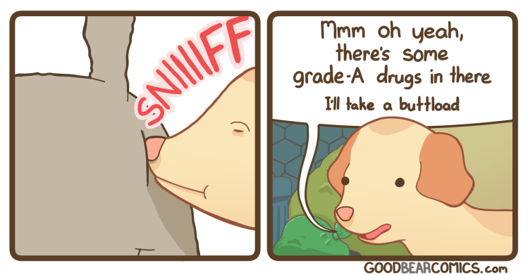 the Chase (png) 4 BONUS