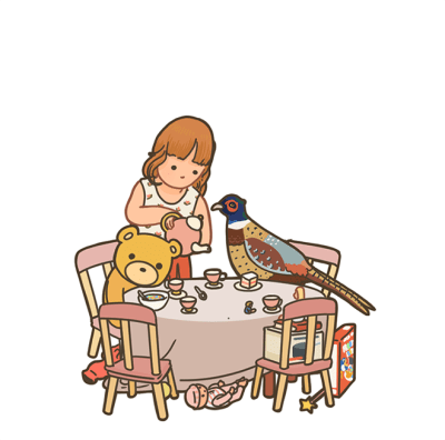 birthday gift (png) bonus smaller